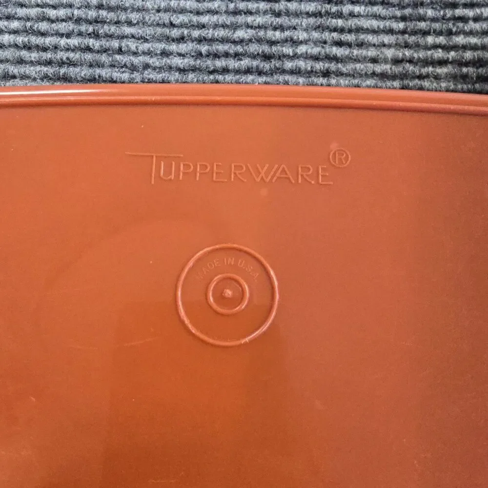 Tupperware orange contains